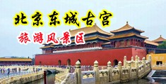 欧美女性收淫视频中国北京-东城古宫旅游风景区